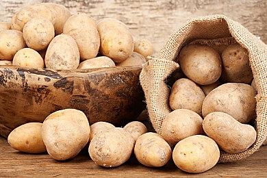 2D平台解谜《落叶城》Steam页面上线 支持中文